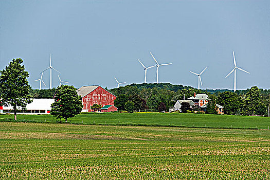 农场,风轮机,安大略省,加拿大,风能,替代能源