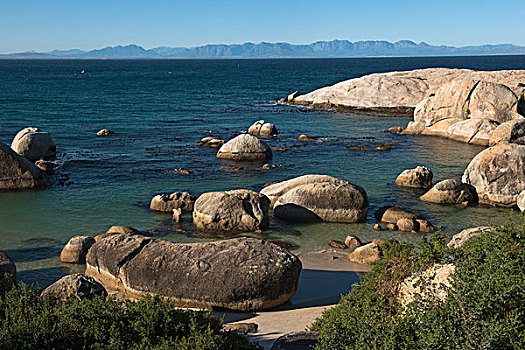 漂石,海滩,非洲企鹅,黑脚企鹅,场所,靠近,城镇,福尔斯湾,鱼钩,开普角,西海角,南非