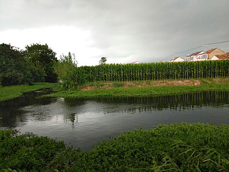 田园乡村,梦里老家,夏日乡村