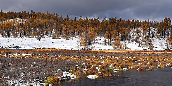 阿尔山雪景