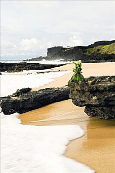 夏威夷,瓦胡岛,沙滩,给,岩石上,海岸线
