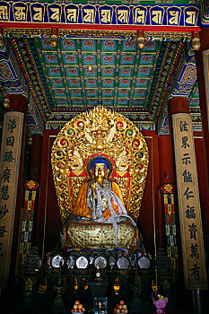 北京雍和宫内的佛像