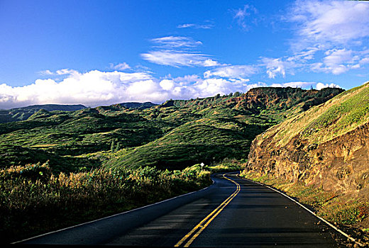 公路,毛伊岛,夏威夷,美国