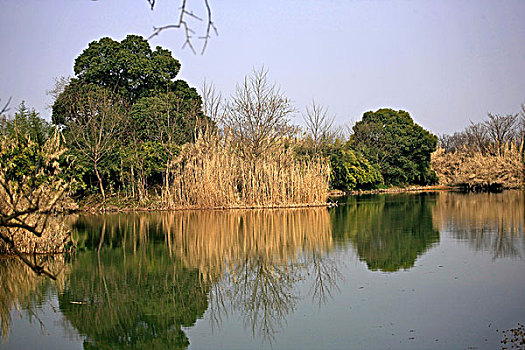 冬天的杭州西溪湿地