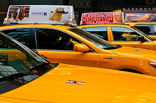 出租车,纽约,美国,北美
