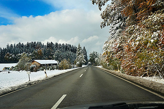 乡间小路,雪,树林,靠近,巴伐利亚,德国,欧洲