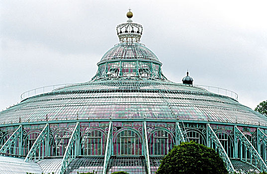 皇家,温室,穹顶,皇冠,上面,地区,布鲁塞尔,比利时,欧洲
