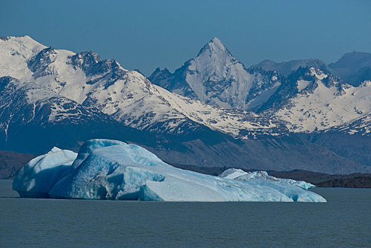 冰山,漂浮,阿根廷湖