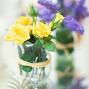 花朵,黄色,玫瑰,麝香兰
