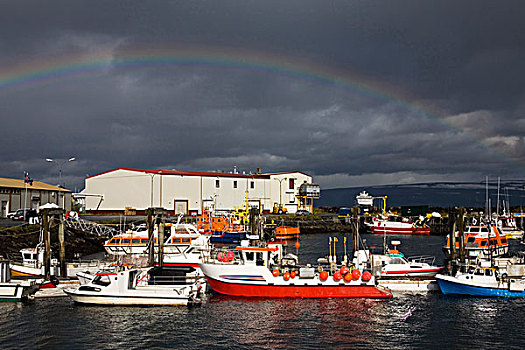 彩虹,上方,港口,冰岛