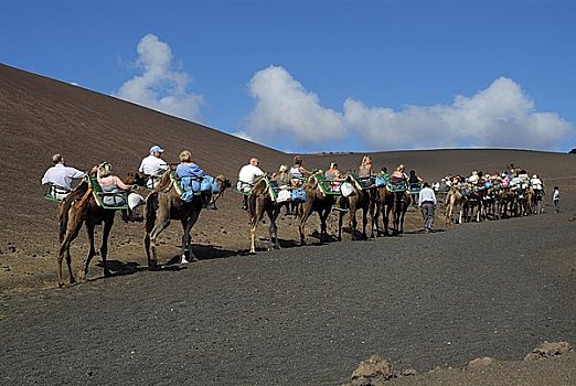 骆驼,骑手,蒂玛法雅国家公园,兰索罗特岛,西班牙,欧洲