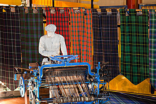苏格兰,爱丁堡,展示,格子图案,编织