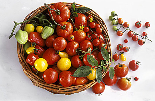 多样,红色,黄色,不熟,西红柿,篮子