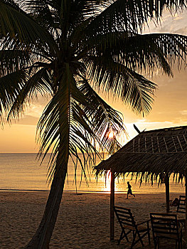 傍晚,帽子,海滩,岛屿,安达曼海,南方,泰国,亚洲