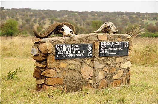 路标,靠近,住宿,塞伦盖蒂国家公园,坦桑尼亚,非洲