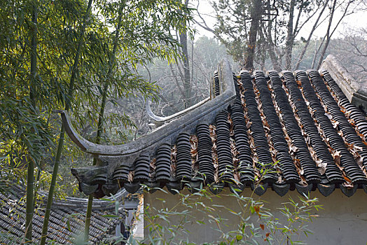 山林的古建筑屋顶