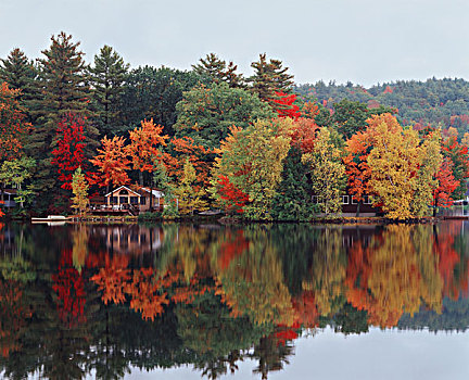 美国,马萨诸塞,湖,秋色,房子,反射,大幅,尺寸