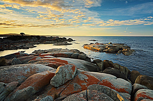 岩石海岸,火焰湾,塔斯马尼亚,澳大利亚