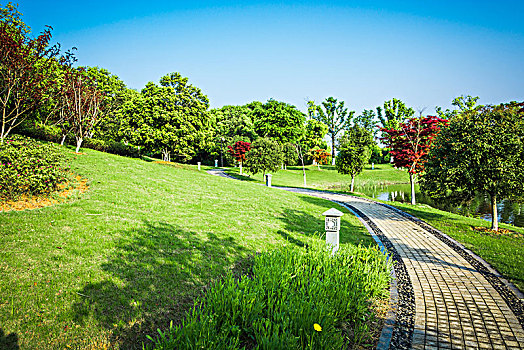 自然,户外,公园,街道,道路,小路