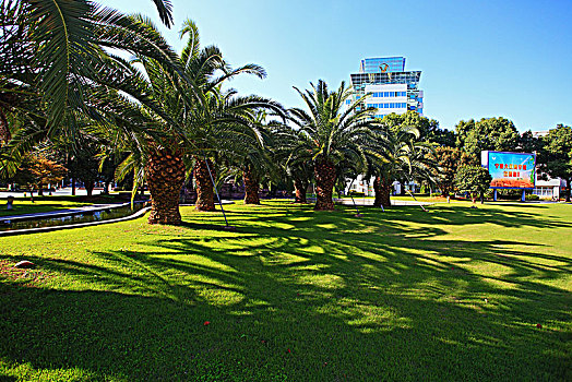 宁波大红鹰学院,大学,校园,学校,建筑