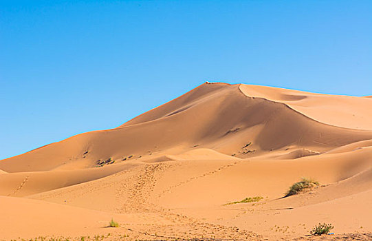 摩洛哥,撒哈拉沙漠,沙丘,区域,顶峰,沙子