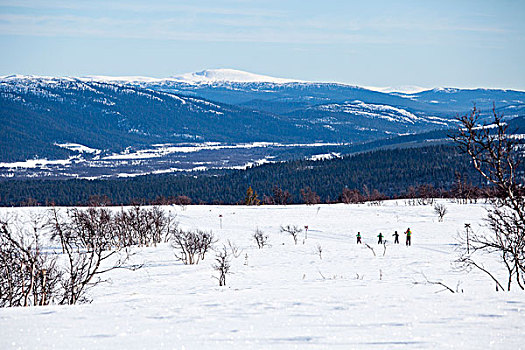 冬季风景,人,滑雪,背景