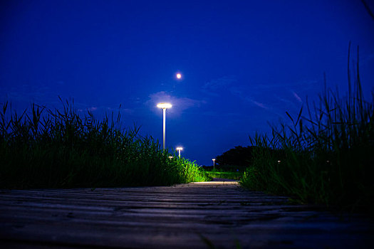 中国安徽合肥方兴湖傍晚月光下的小路