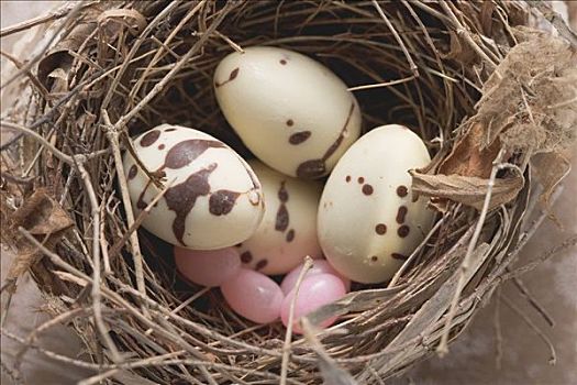 巧克力蛋,复活节草巢,特写