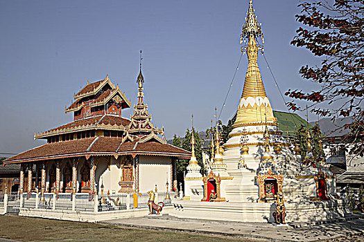 泰国,儿子,佛教寺庙