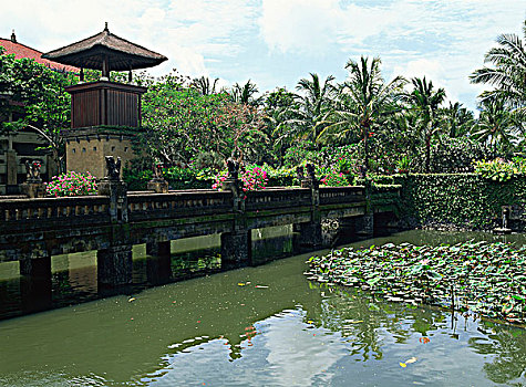 花园,度假酒店,巴厘岛,印度尼西亚