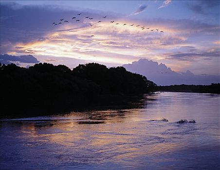 黃昏,奥莫河,埃塞俄比亚,高地,上方,英里,水,北方,湖,跟随,雨,河,洪水