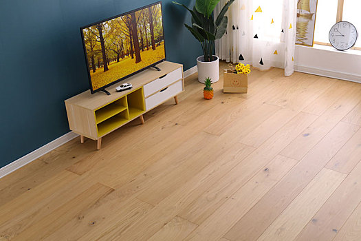 木地板,橡木地板,客厅,家居,家具,实木复合地板,多层实木地板,纯实木地板,强化复合地板,图片,拍摄,摄影