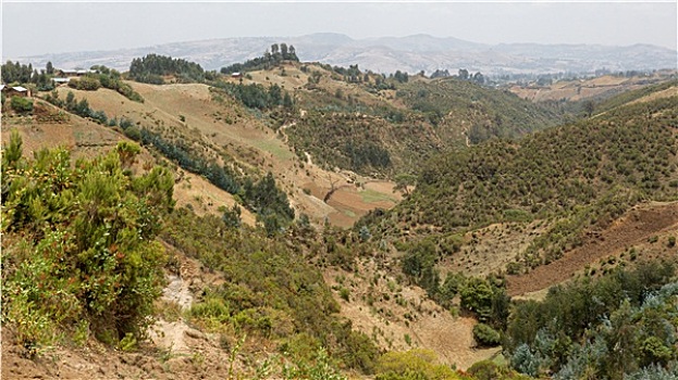 山地地形,埃塞俄比亚