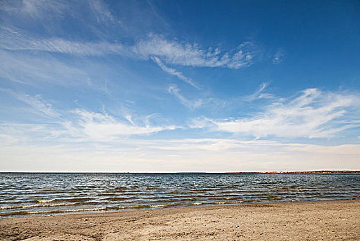 空,沙,海岸,波罗的海,塔林,爱沙尼亚