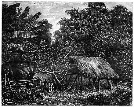 圭亚那,南美,19世纪,艺术家
