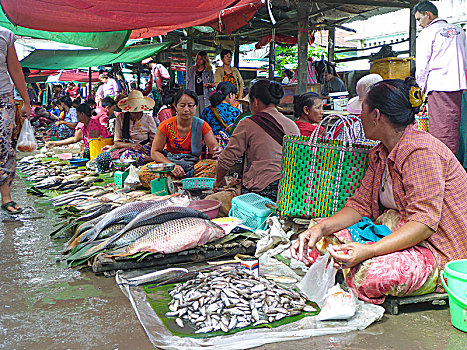 市场,出售,顾客,人,茵莱湖,掸邦,缅甸