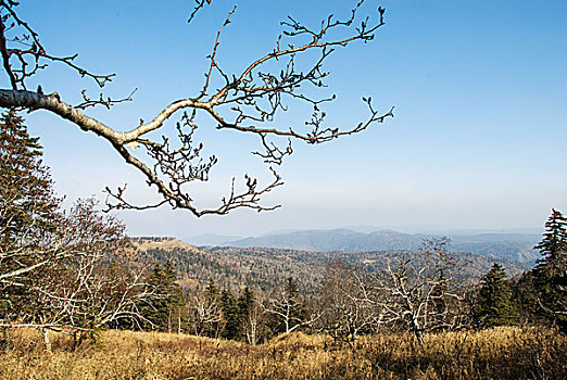 黑龙江凤凰山风光