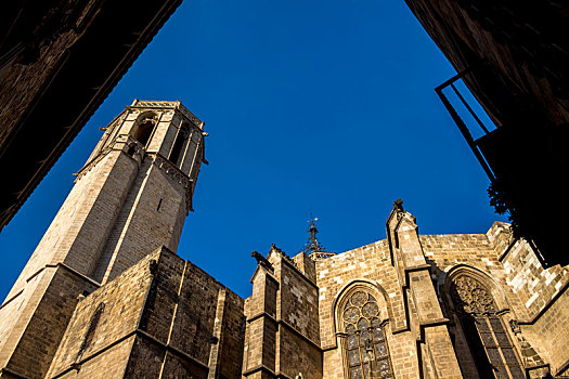 大教堂,巴塞罗那,哥特区,加泰罗尼亚,西班牙