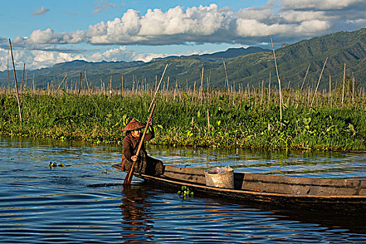 缅甸,茵莱湖,女人,划船,独木舟