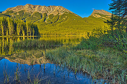 湖,山脉,背景,碧玉国家公园,艾伯塔省,加拿大