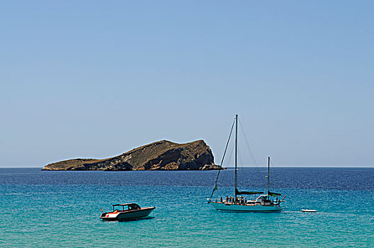 船,伊比萨岛,松树,岛屿,巴利阿里群岛,西班牙,欧洲