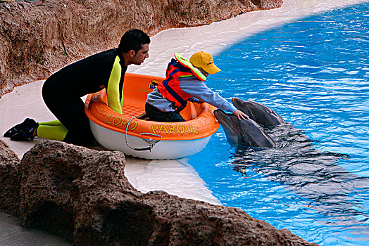 孩子,爱抚,海豚,公园,特内里费岛,加纳利群岛,2007年