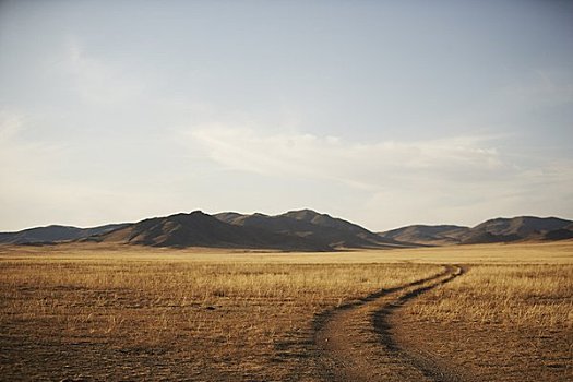 小路,地点,国家公园,蒙古