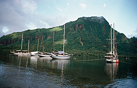 湾,茉莉亚岛,岛屿,法属玻利尼西亚