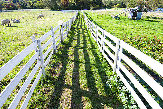 栏杆,农场