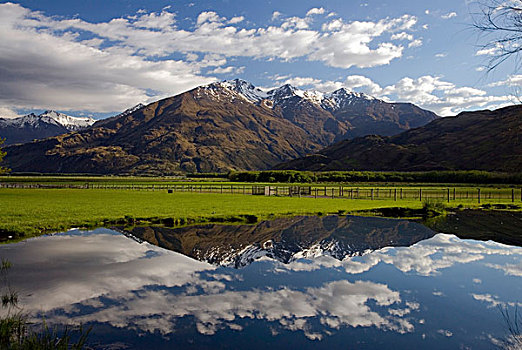 山峦,南阿尔卑斯山,反射,平静,水塘,靠近,瓦纳卡湖,南岛,新西兰