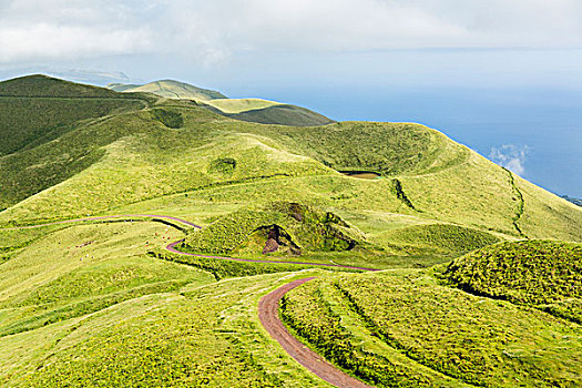 绿色,风景,土路,火山,火山囗,下方,排列,山,大,岛屿,亚速尔群岛,葡萄牙