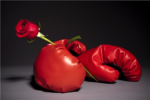 拳击手套,红玫瑰
