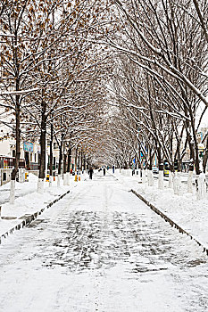 街头雪景