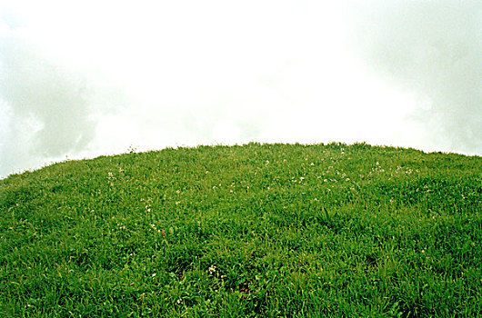 草,山